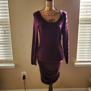 NWT Express Dress